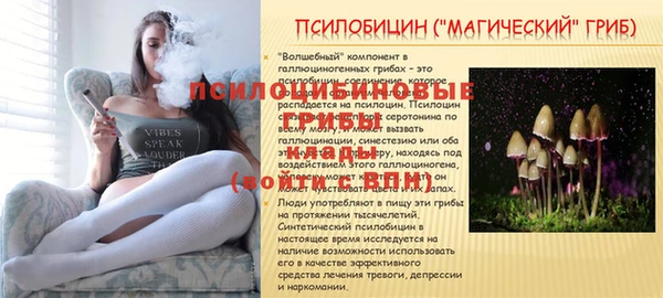 не бодяженный Володарск