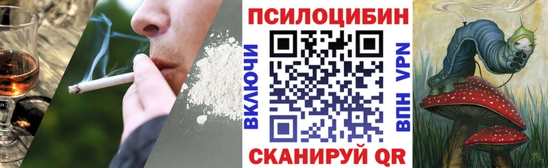 Псилоцибиновые грибы Psilocybe Гулькевичи